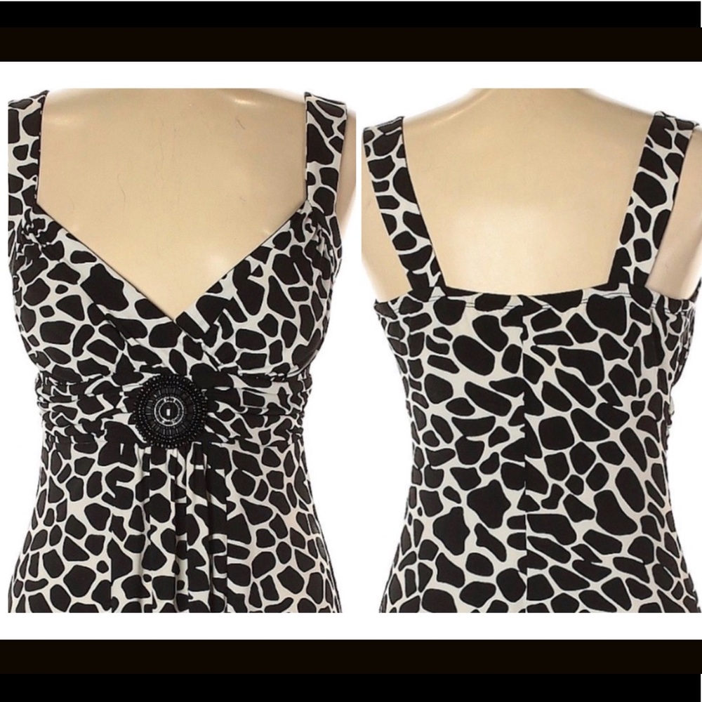 3 for $20 🛒 EN FOCUS STUDIO Sleeveles Dress